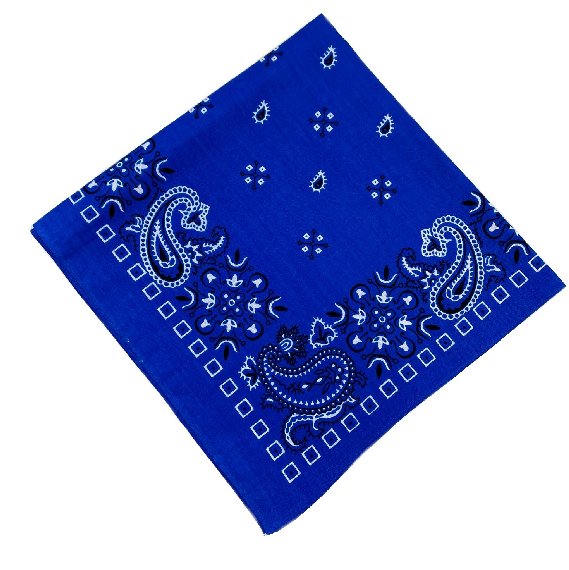 BANDANA--Royal Blue Paisley Print